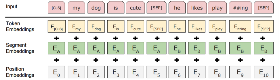 BERT_input_representation