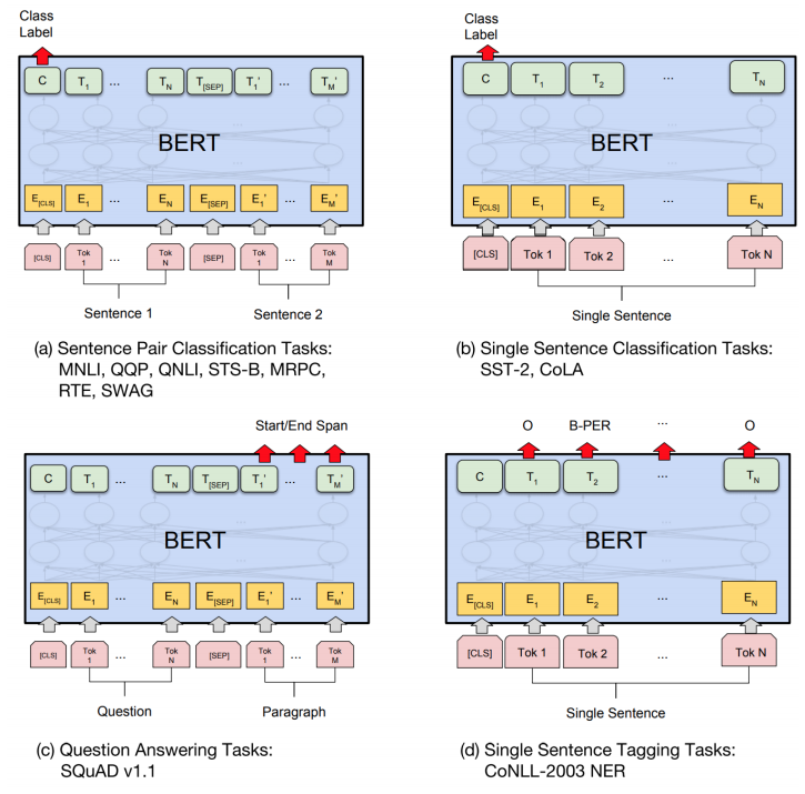 Fine-tuning BERT on Different Tasks.